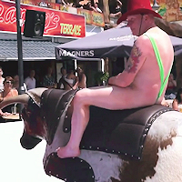 Mechanical Bull