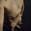 Canadian Streaker #1