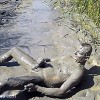 Mud Jerking