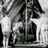 Military Inspection