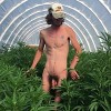 The Plantation