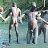 African Bathing Day