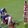 Asses on the Field