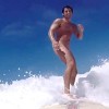 Adonis Surfer