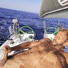 The Boatman Comes