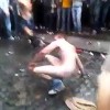 Public Brawl