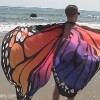 Sweet Butterfly