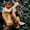 Artful Jungle Boy