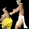 Hawaiian Dance