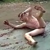 Camp's Slip n' Slide